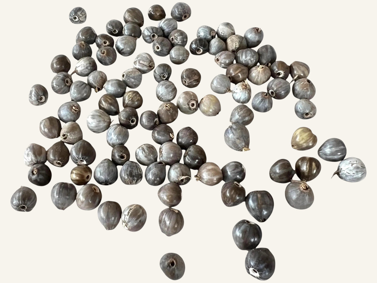 Natural Job's Tears Beads - 300pcs for Rosary & Jewelry Making