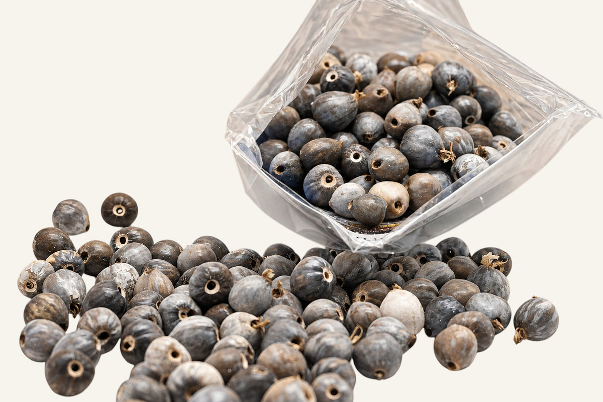 Natural Job's Tears Beads - 300pcs for Rosary & Jewelry Making