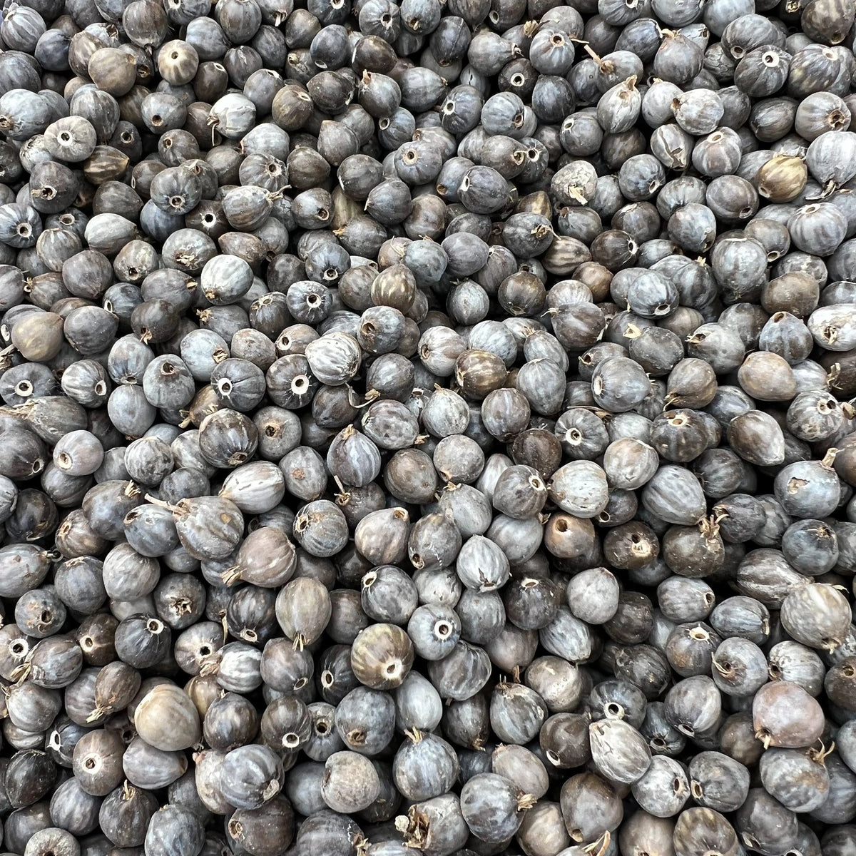 Natural Job's Tears Beads - 300pcs for Rosary & Jewelry Making
